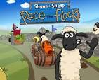 Feed Sheep